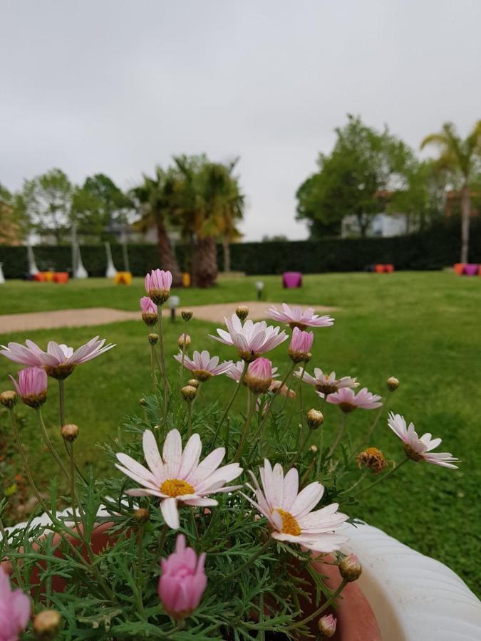 فندق I Giardini Del Novecento لاميزيا تيرمي المظهر الخارجي الصورة